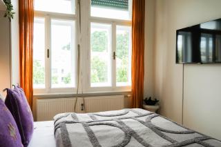 Zentral & stilvoll - Apartment mit Schlossbergblick und Parkplatz - 4