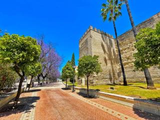 Apartamento Tío Pepe - Ole Solutions - Jerez de la Frontera - 5