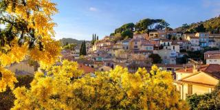 Charmant appartement a Bormes les Mimosas - Bormes-les-Mimosas - 9
