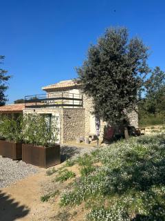 Charmante maison Provençale avec grand jardin - 5