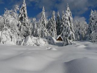 Hiška vogar - Bohinj - 1