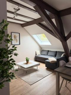 Le Cocon de l'Arc, parking gratuit - Mulhouse - 5