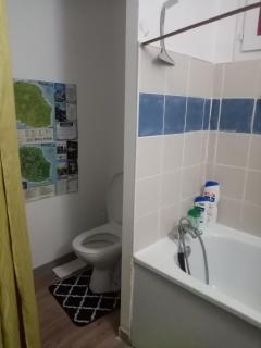 Chambre chez l'habitant chez moi - La Plaine des Palmistes - 9
