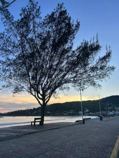Cofofo aconchegante Pé na Areia - Garopaba - 2