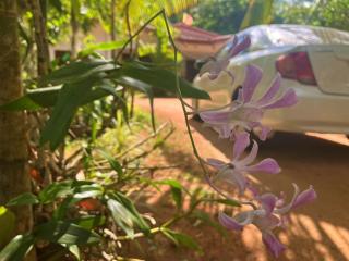 Grand Refuge Holiday Rooms - Anuradhapura - 8
