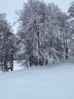 Vikendica Aleksandra - Žabljak - 6