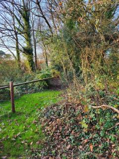 Beech lodge - Wexford - 3
