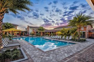Entire Apartment King Bed, Pet-Friendly, 15 Min to Disney, Resort Style Amenities! - Kissimmee - 0