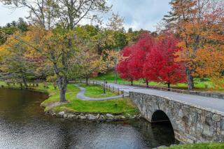 Cardinal 104 - Blowing Rock - 6