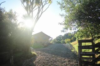 Bethells Luxury Retreat - Auckland Glamping - Auckland - 7