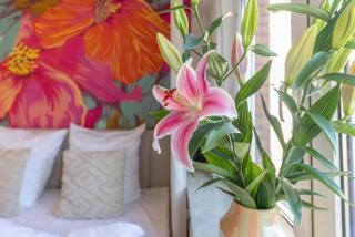 Mango Living I Boutique Apartment I modern I 23 qm - Mönchengladbach - 1