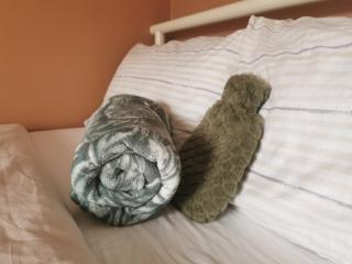 R5 - Triple Room Retreat - Near Beach, Parks, Trails, City - WIFI, Free Parking - Self Catering - Swansea - 1