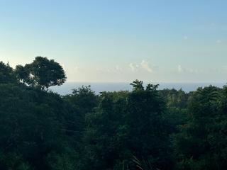 Seaview Oasis - Castries - 5