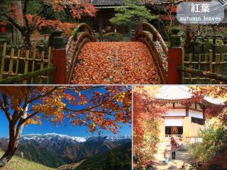 お宿さくら 吉野や高野山の観光やビジネス拠点に最適 - Gojō - 2