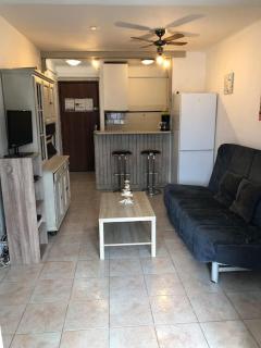 Appartement T 2 meublé sur canal - Palavas-les-Flots - 0