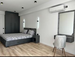APARTAMENTS CIOCANA & TAXI AiROPORT - Chişinău - 8