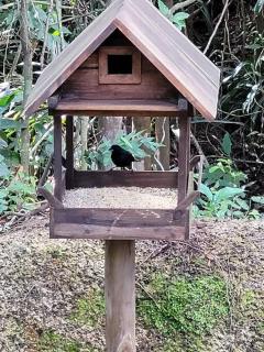 Sítio Colibri - casa inteligente - 9
