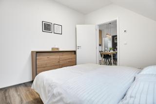 Attic apartment by Mountain ways - Loučná pod Klínovcem - 1