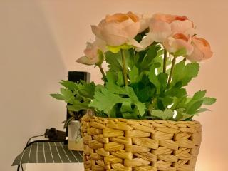 STUNNING!!! City-Center!! Retreat with Modern Amenities - 4