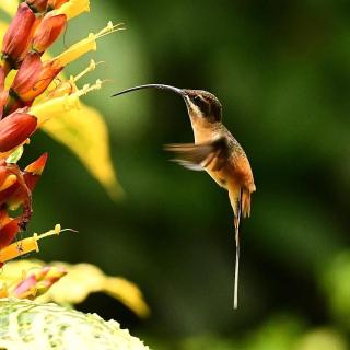 Rio Quijos EcoLodge - 3