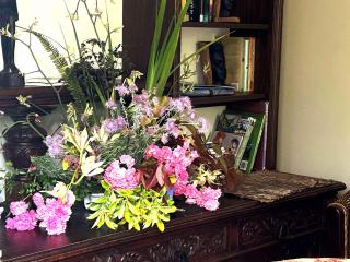 Blue Mountains Ferncreek studio retreat pet friendly - Hazelbrook - 3