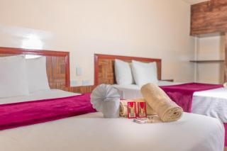 Hotel Buenos Aires - Durango - 4