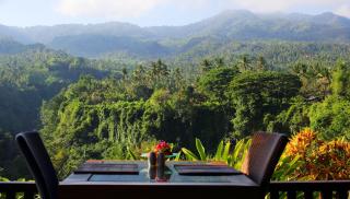 Shanti Natural Panorama View Hotel - Singaraja - 3