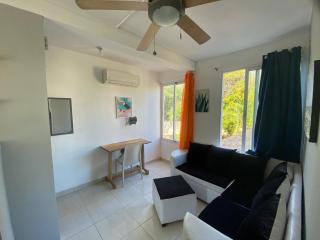 Big Blue Apartments - Cabarete - 8