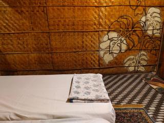 Butterfly cottage - Hampi - 2