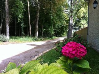 Manoir De Montflambert - Mutigny - 9