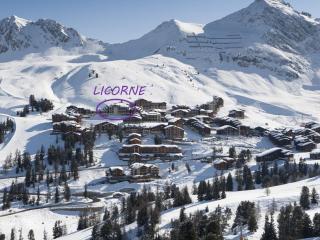 Studio cabine à Belle Plagne, 4 personnes, terrasse vue sud-ouest - FR-1-455-260 - 2