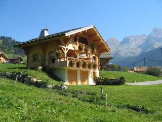 Chalet spacieux 10 pers. près pistes ski, parking privé - FR-1-467-135 - Le Grand-Bornand - 9