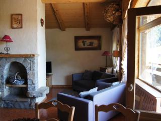 Charmant appartement près des pistes, parking inclus - FR-1-467-138 - Le Grand-Bornand - 9