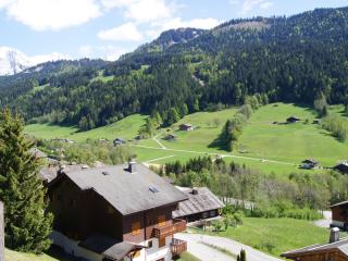 Charmant appartement près des pistes, parking inclus - FR-1-467-138 - Le Grand-Bornand - 2