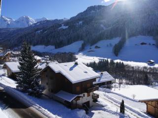 Charmant appartement près des pistes, parking inclus - FR-1-467-138 - Le Grand-Bornand - 1