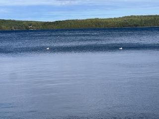 Stunning 4bedroom Lake house ! - 8