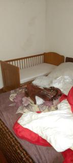 Privat Zimmer in eine whg rue des abeilles - Mulhouse - 0