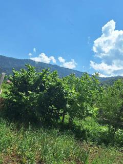 Natos Cottage - 5