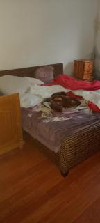 Privat Zimmer in einer Wohnung zu vermieten - Mulhouse - 0