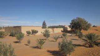 Hôtel Camping La Liberté - Merzouga - 4