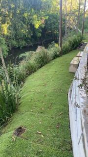 Williams River Retreat - Dungog - 3