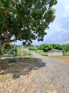 Homestay Neni Alor Gajah - Kampong Gajah Mati - 2