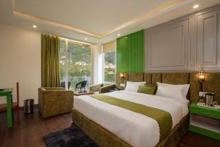 Antillia Valley Resort - Manali - 4