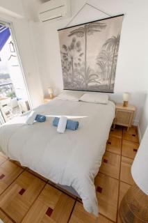 Magnifique appartement vue mer Mont Borron - Nice - 1