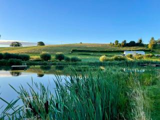 New! 10étangs, design house nestled among a dozen ponds - Florennes - 0