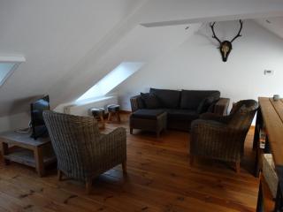 Au logis de Cadichon - Saint-Hubert - 0