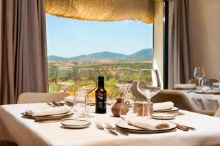 Hábitat Cigüeña Negra - 9