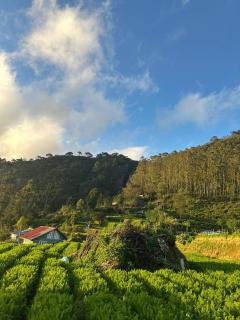 The Mount Lodge - Nuwara Eliya - 8