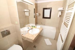 Hotel Carmen - Predeal - 9