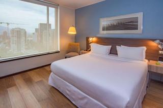 Radisson Blu Plaza El Bosque Santiago - 1